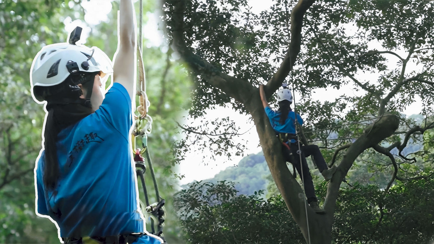 《No Pān No Gain》| Professional Tree Climber Feature